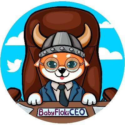 BFLOKIC币(Baby Floki CEO)可以涨到多少?