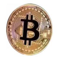 bitcoin币(比特令牌)价格上涨了多少？
