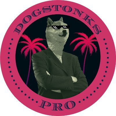 DogStonks Pro(DOGPRO币)价值如何