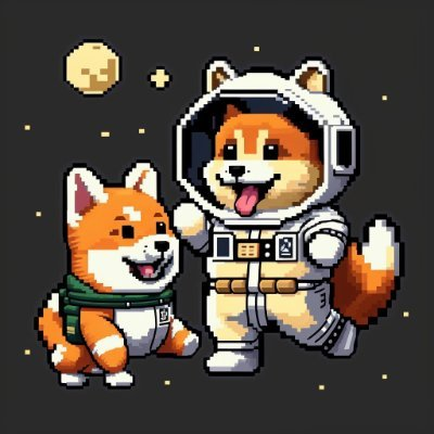 Inu Inu(TWINU币)期权是什么