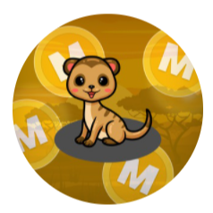 Mongoose Coin(MONGOOSE币)能上涨吗