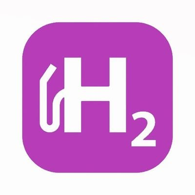 Nel Hydrogen(NEL币)是山寨币