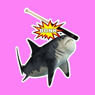 SharkBonk(SBONK币)符合当地法律吗