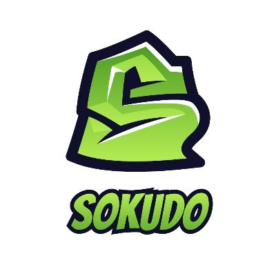 SOKUDO FINANCE(SKD币)在中国禁止
