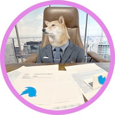 Twitter CEO Floki(FLOKICEO币)非法传销