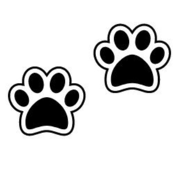 Two Paws(TWOPAW币)近期会崩盘?