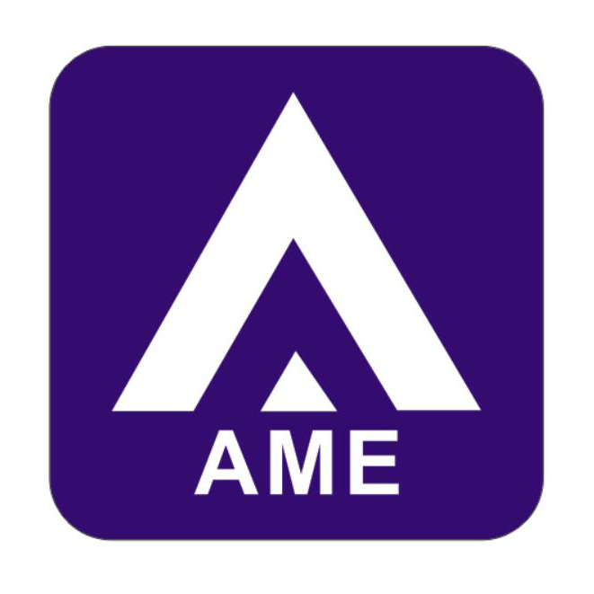 (AME)交易所交易传销币