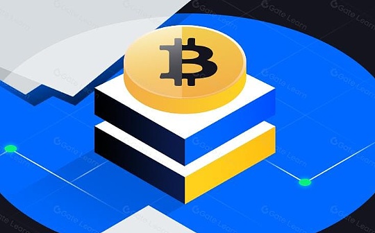 Web30时代的龙头币全面解析