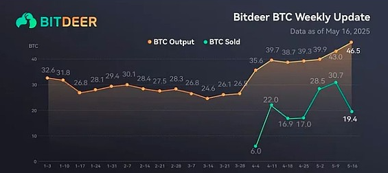 比特小鹿2025年一季度业绩点评