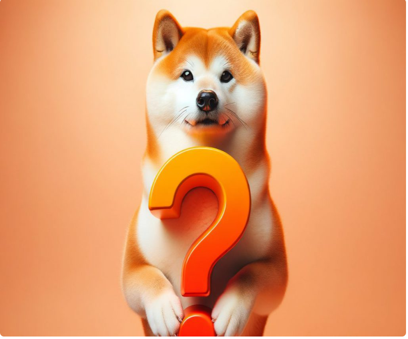 柴犬的平淡表现。
